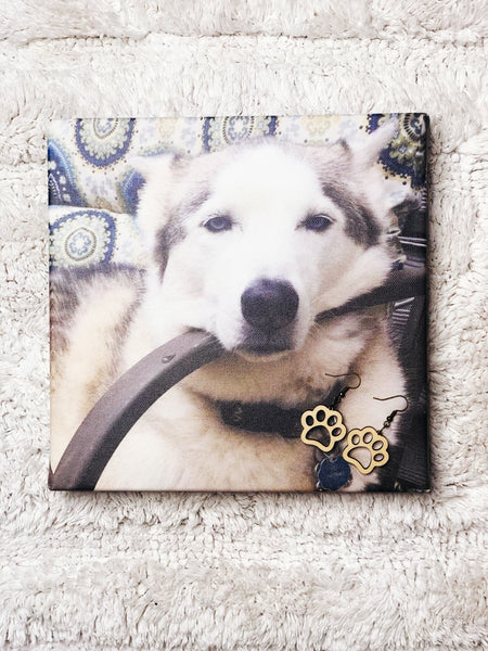 Fur Baby Paw Earrings