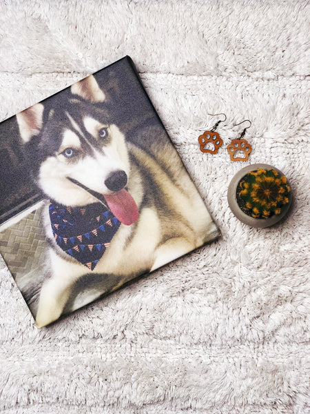 Fur Baby Paw Earrings