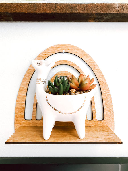 Rainbow Hanging Shelf